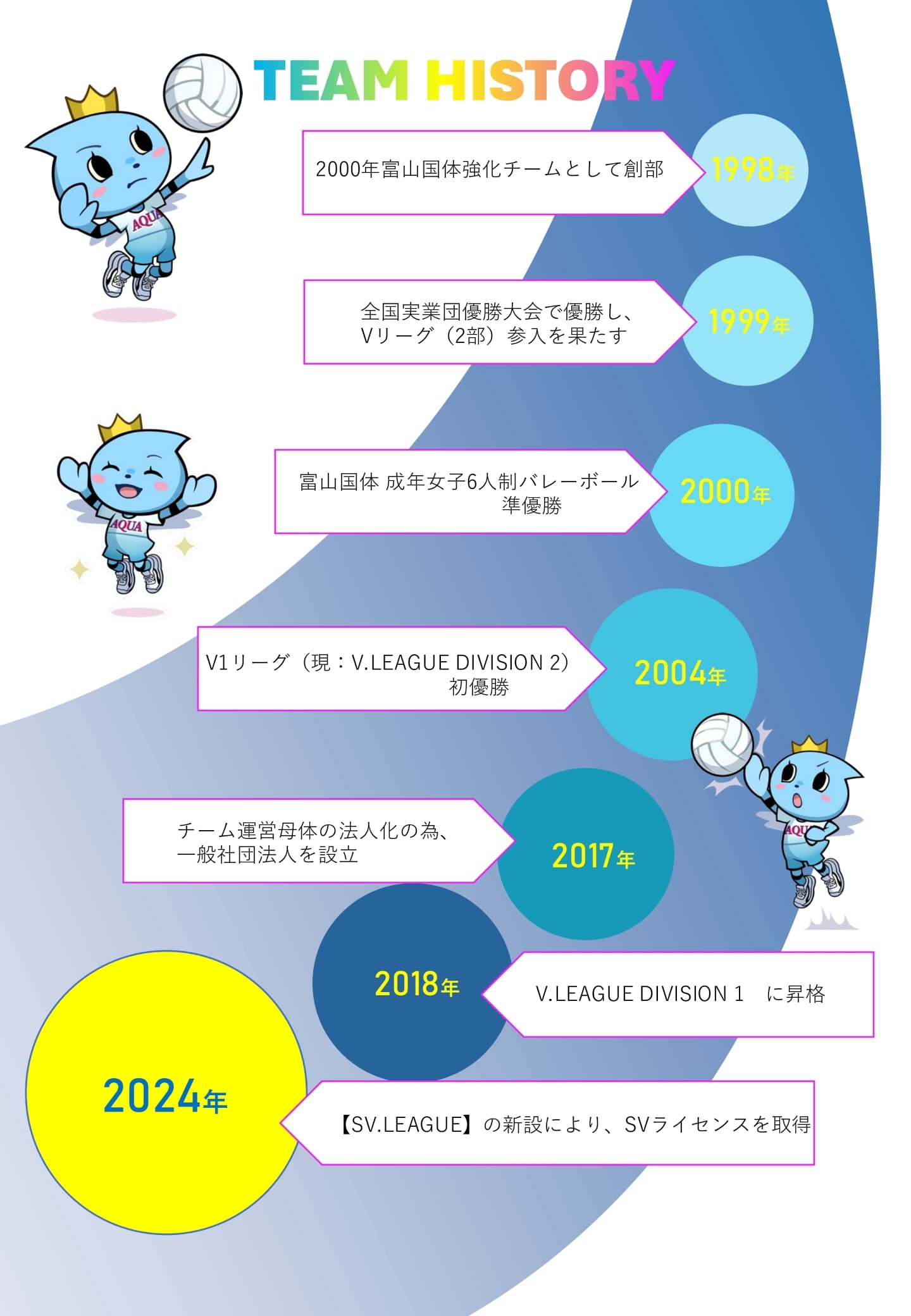 TEAM HISTORY
